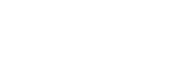 Logo Wikings