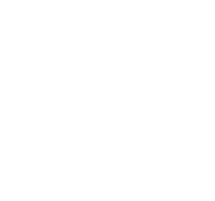 Logo WDi